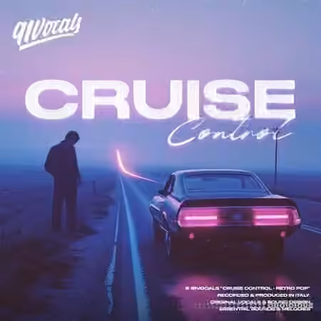 91Vocals Cruise Control - Retro Pop [WAV]