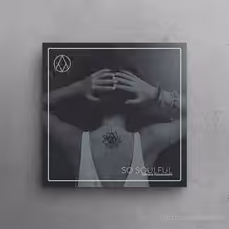 AngelicVibes So Soulful [WAV, MiDi]
