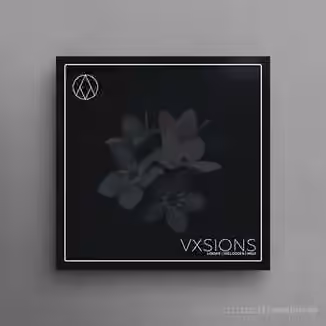 AngelicVibes Vxsions [WAV, MiDi]