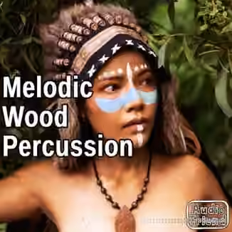 AudioFriend Melodic Wood Percussion [WAV]