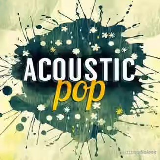 Big Fish Audio Acoustic Pop [KONTAKT, MULTiFORMAT]