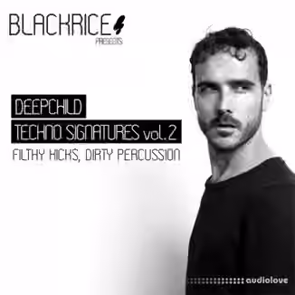 Blackrice Deepchild Techno Signatures Vol.2 [WAV]