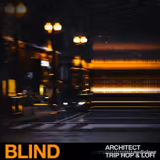 Blind Audio Architect Trip Hop and Lofi [WAV]