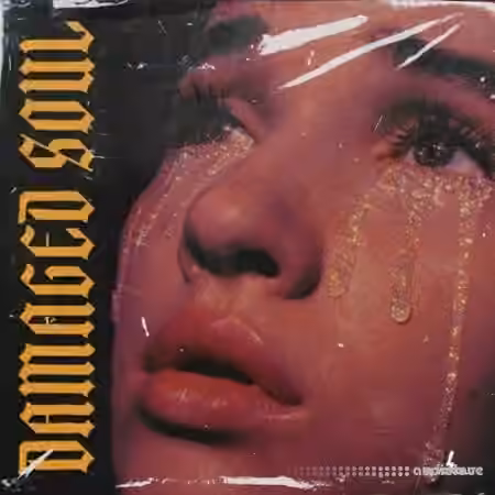 Blvckout Damaged Soul [WAV, MiDi]