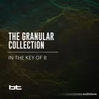 BT The Granular Collection In The Key Of B [WAV]