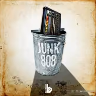 Bullyfinger Junk 808 [WAV]