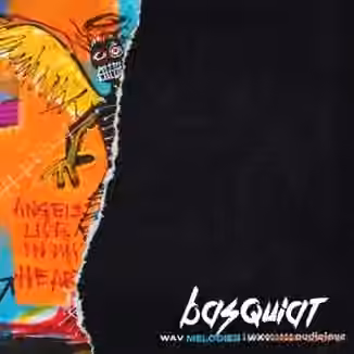 Canary Julz Basquiat (Loop Pack) [WAV]