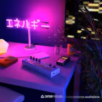 Capsun ProAudio Bedroom Beats And Lofi Hip Hop Vol.2 [WAV]