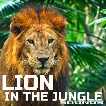 Cloud Nine Records Lion In The Jungle Sounds [FLAC]