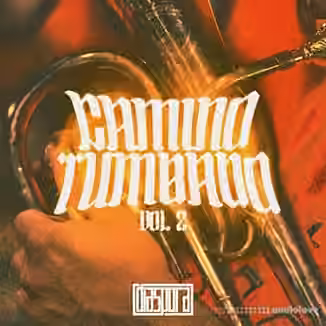 Diaspora Camino Tumbado Vol.2 [WAV]