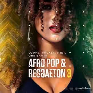 Diginoiz Afro Pop And Reggaeton 3 [WAV, MiDi]