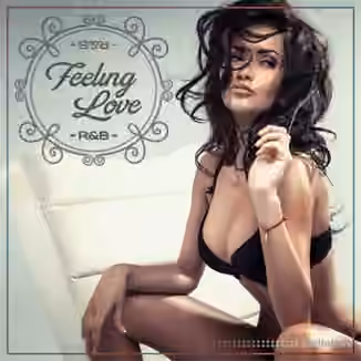 Diginoiz Feeling Love RnB [WAV, AiFF]