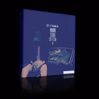 Dinma Beats Mood Sound Collection II [WAV]