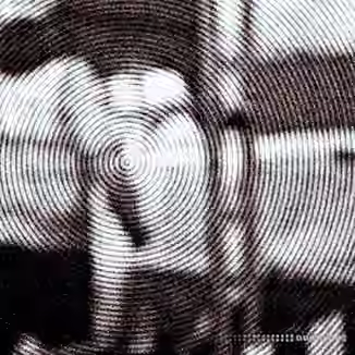 Distant Animals Dichotomies [WAV]