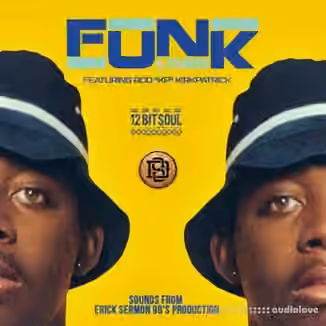 Divided Souls Funk Lord Featuring Rod KP Kirkpatrick [WAV]