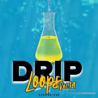 DiyMusicBiz Drip Loops Vol 14 [WAV]