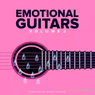 DiyMusicBiz Emotions Guitar SoundPack Vol.2 [WAV]