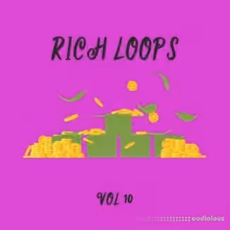 DiyMusicBiz Rich Loop Vol.10 [WAV]