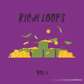DiyMusicBiz Rich Loop Vol.6 [WAV]