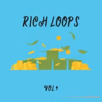 DiyMusicBiz Rich Loop Vol.9 [WAV]