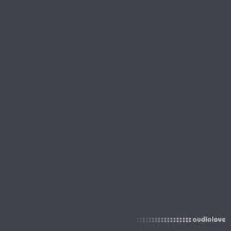 Downtime Store Downtime Drumkit 2 [WAV]