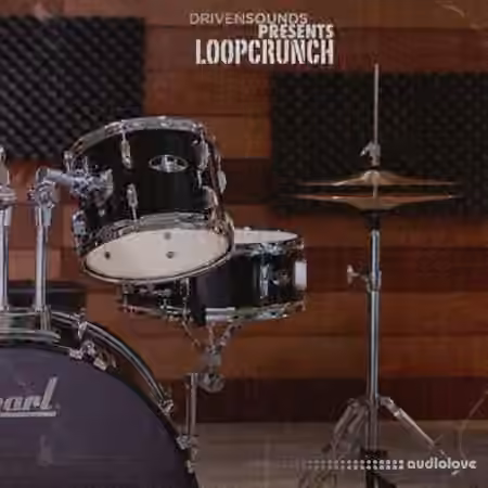 Drivensounds LOOPCRUNCH [WAV]
