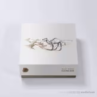 DrumVault Silk Road (Electra Bank) [Synth Presets]