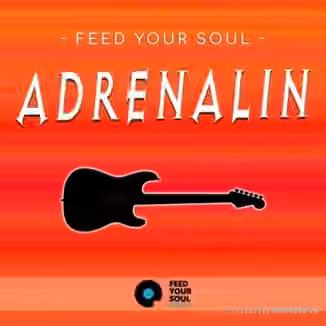 Feed Your Soul Music Feed Your Soul Adrenalin [WAV]