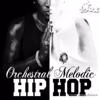 Fox Samples Orchestral Melodic Hip Hop [WAV, MiDi]
