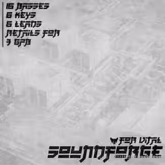 Foxhunt Soundforge For Matt Tytel's VITAL [Synth Presets]