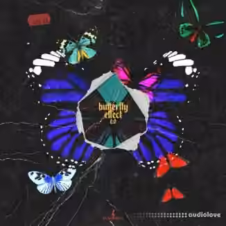 Fxrbes Beats Butterfly Effect 2 [WAV]