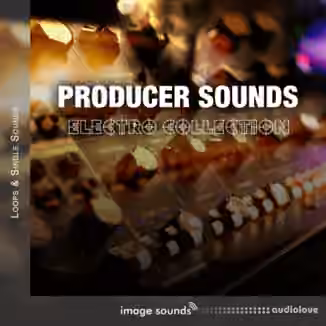 Image Sounds Producer Sounds Electro Collection [WAV]