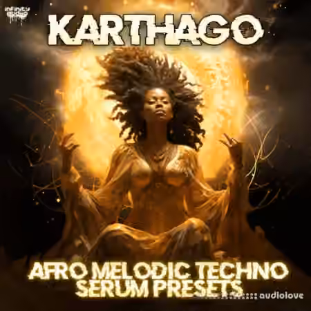 Infinity Audio Karthago Afro Melodic Techno Serum Presets [Synth Presets]