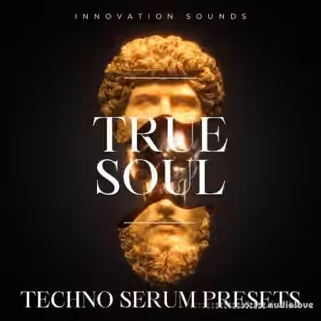 Innovation Sounds True Soul - Techno Serum Presets [Synth Presets]