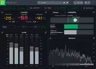 iZotope Insight 2 v2.6.0.350 [WiN]