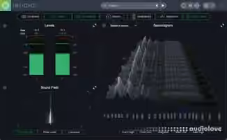 iZotope Insight Pro v2.6.0 [WiN]