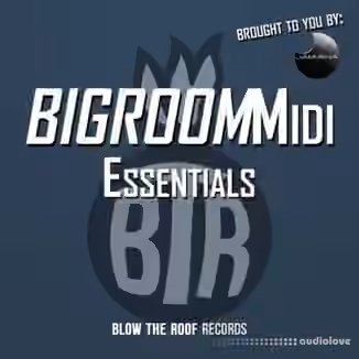 Jamvana Bigroom Midi Essentials [WAV, MiDi]