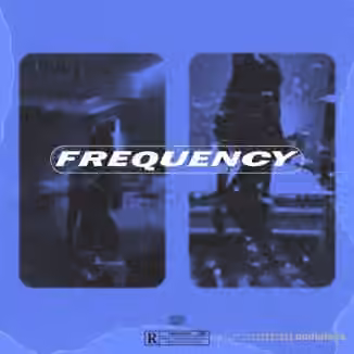 kaiiondabeat FREQUENCY by kaii [WAV]