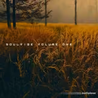 KAN Samples Soulvibe Vol.1 [WAV]