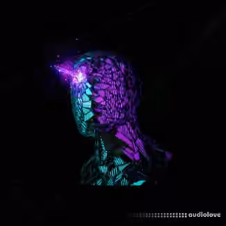 Key Jungle Slow Motion Modern RnB Samples [WAV, MiDi]
