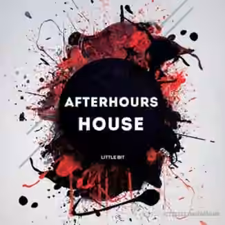 Little Bit Afterhours House [WAV]