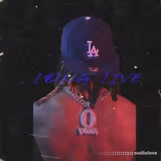 Loops 4 Producers Long Live [WAV]
