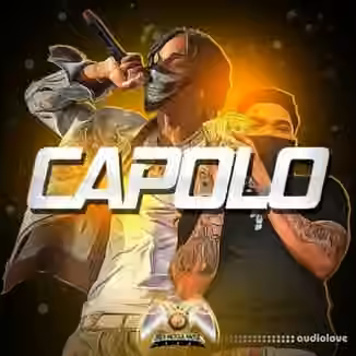 Midi Moguls CAPOLO gold [WAV]