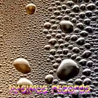 Nasimus Records Minimal Basses and Voice [WAV]