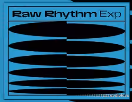 Native Instruments Rhythm [Maschine]