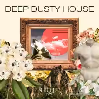NITELIFE Audio Deep Dusty House [WAV]