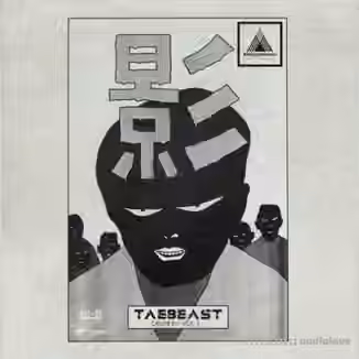 Polyphonic Music Library TaeBeast Drum Kit Vol.1 [AiFF]