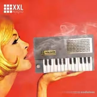 Prime Loops BEAT GOODIES: Lo-Fi Boom Bap [WAV]
