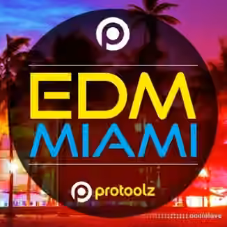 Protoolz EDM Miami [WAV]