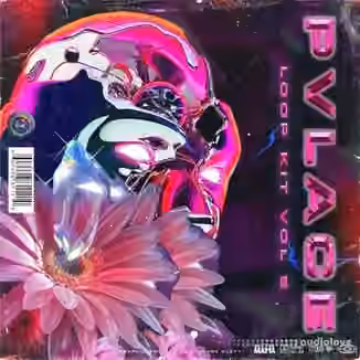 PVLACE Loop Kit Vol.5 [WAV]